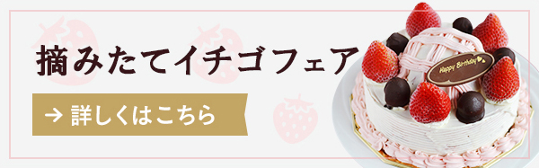特大イチゴのプレミアムアイスケーキ